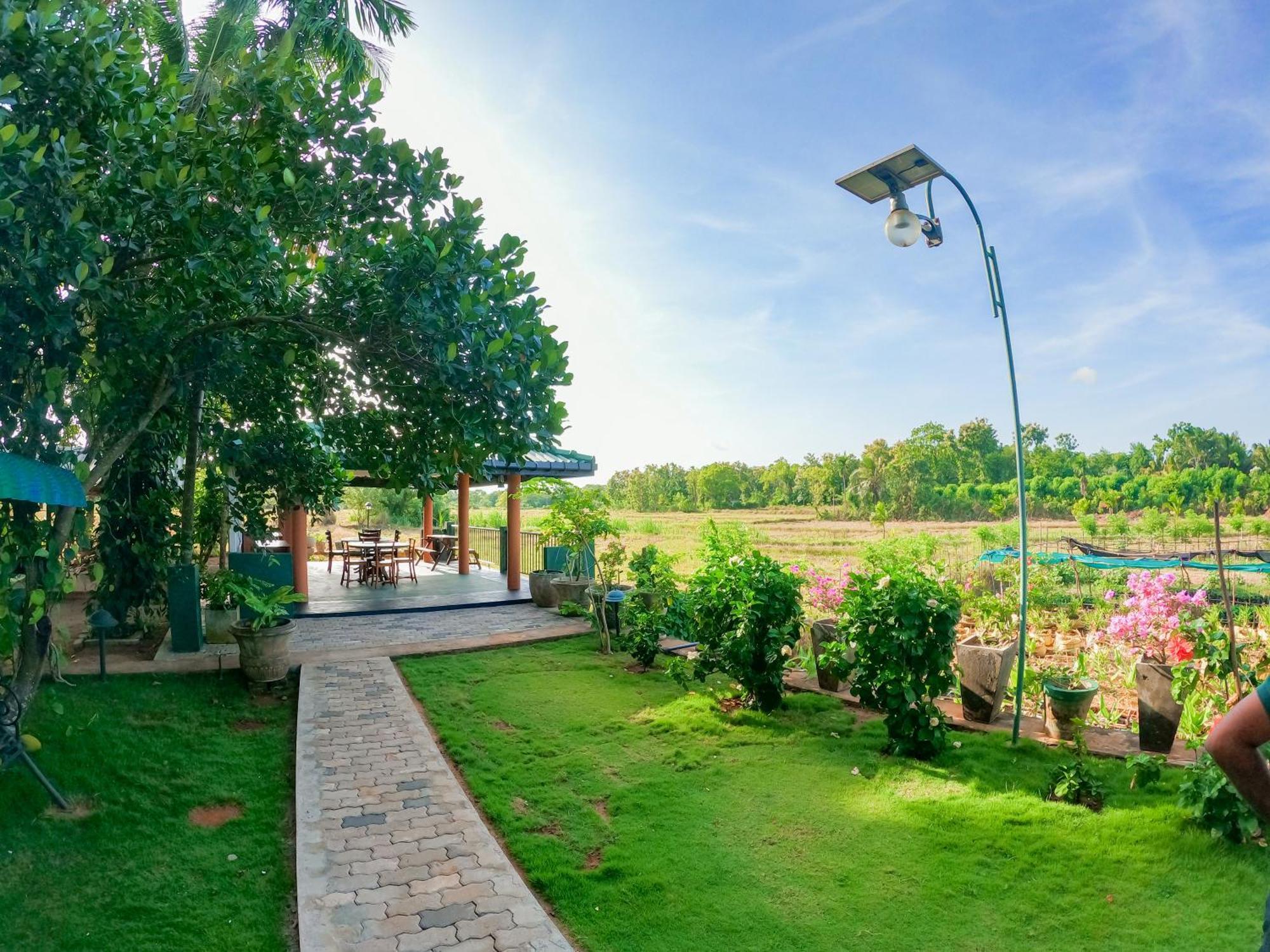 Mailagama Cinnamon Residence กตรคาม ภายนอก รูปภาพ