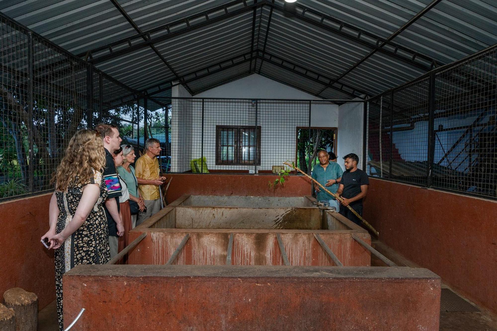 Mailagama Cinnamon Residence กตรคาม ภายนอก รูปภาพ