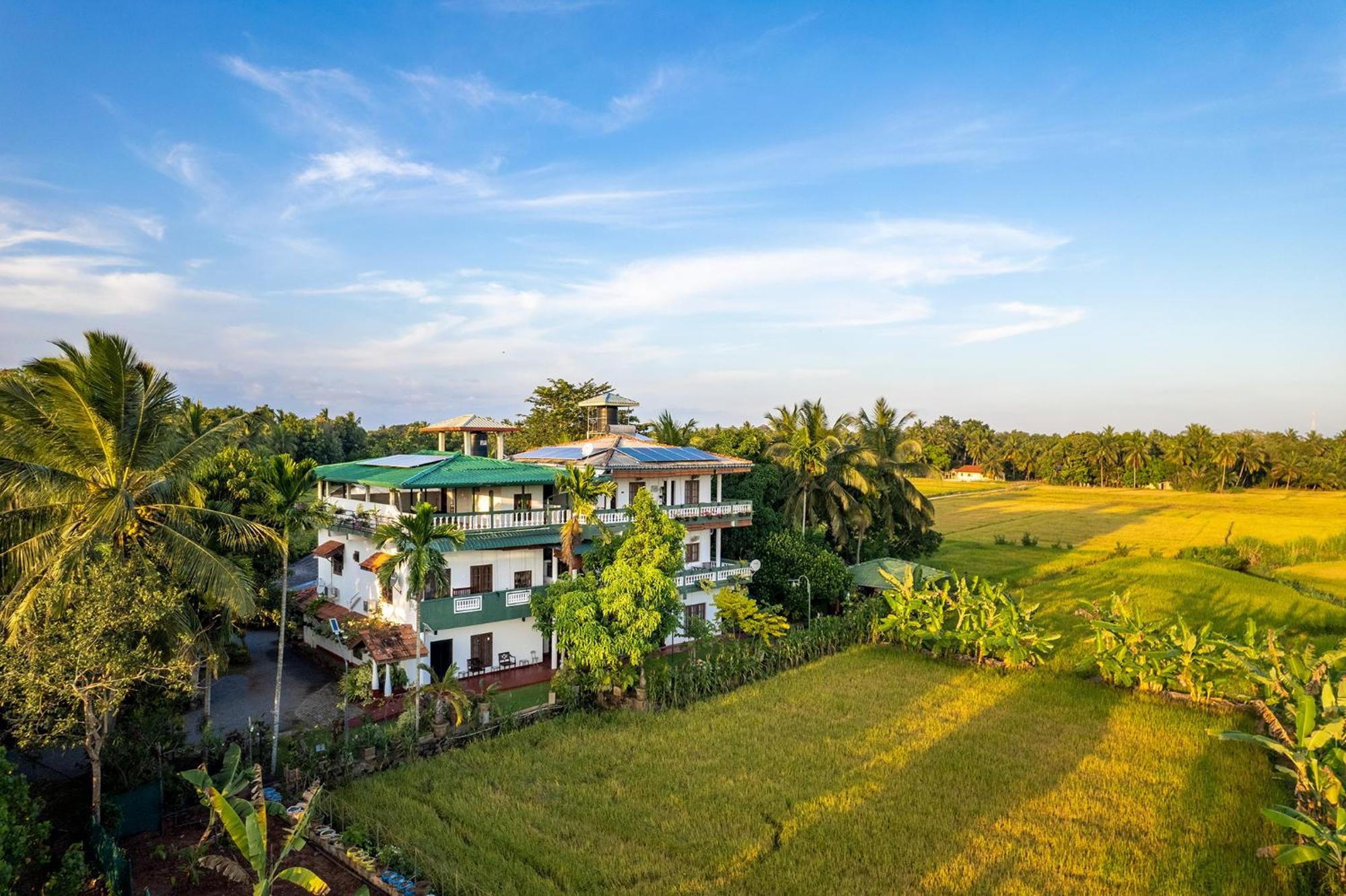 Mailagama Cinnamon Residence กตรคาม ภายนอก รูปภาพ