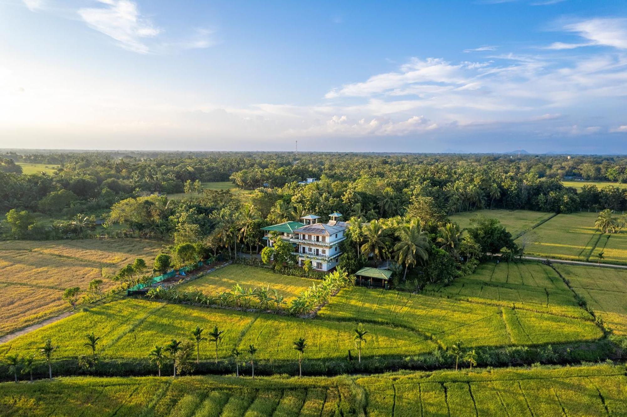 Mailagama Cinnamon Residence กตรคาม ภายนอก รูปภาพ